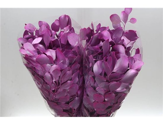 Evkaliptus Populus Blad. Pink Light Metal (p. bunch) c1560