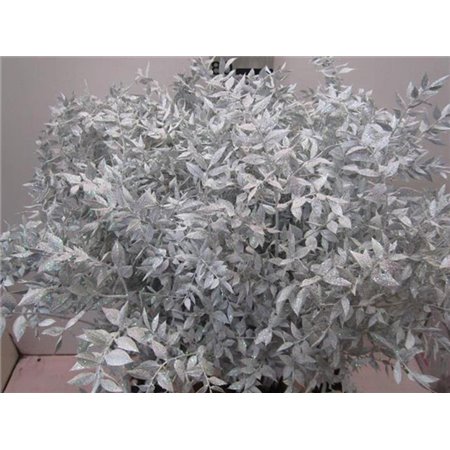 Ruskus Prik Red Glitter c3443