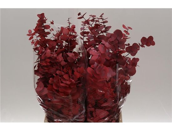 Evkaliptus Stuart. Red 200gr (p. bunch) c1587