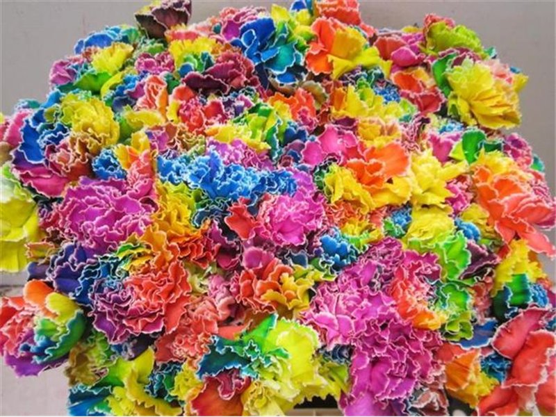 Nagelj G Pale Blue c468