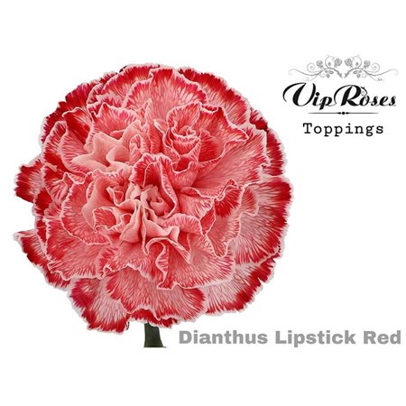 Nagelj Lipstick Red c477