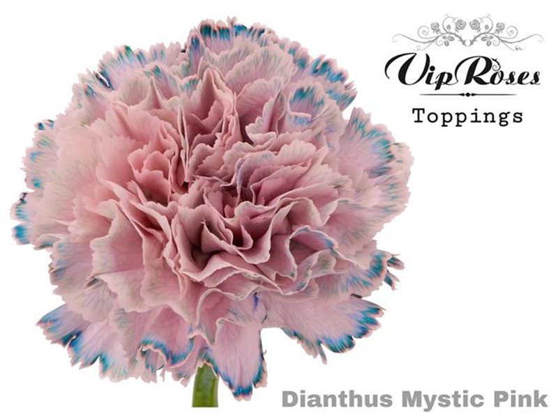 Nagelj Mystic Pink c520