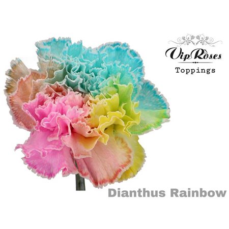 Nagelj Pastel Black c523