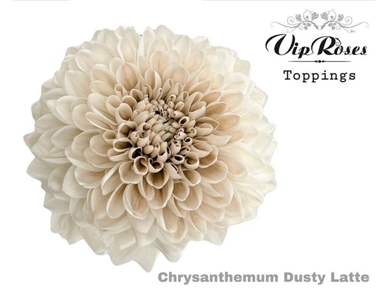 Marjetka deco Dusty Latte c638