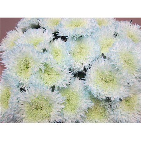 Marjetka deco Etrusko Sweet Blue c641