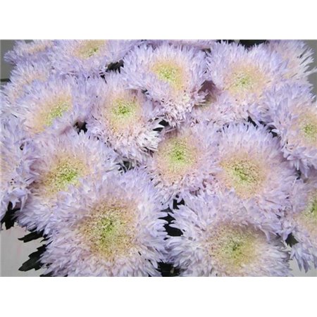 Marjetka deco Etrusko Sweet Green c643