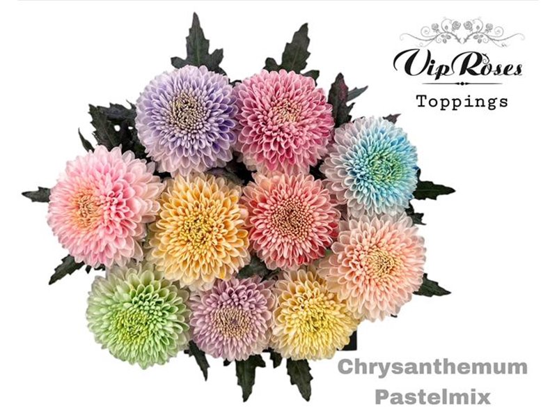 Marjetka deco Pastelmix c654