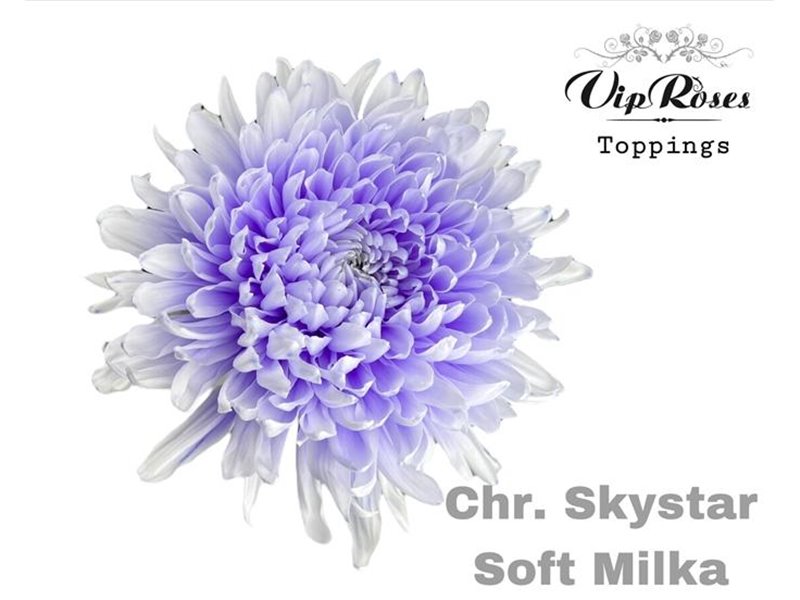 Marjetka deco Skystar Soft Milka c664