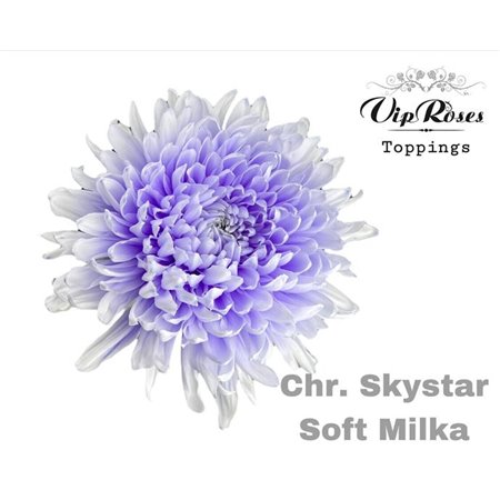 Marjetka deco Skystar Soft Milka c664