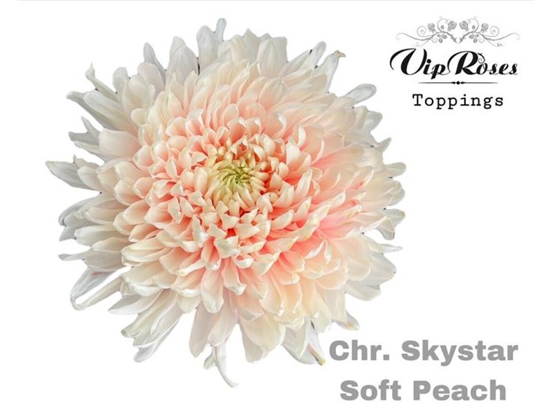 Marjetka deco Skystar Soft Peach c665