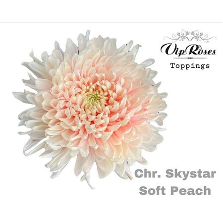 Marjetka deco Skystar Soft Peach c665