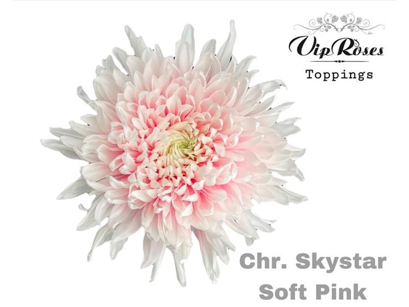 Marjetka deco Skystar Soft Pink c666