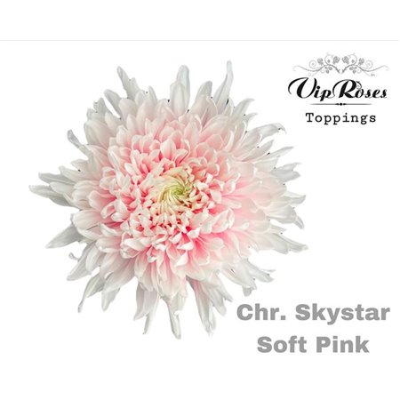 Marjetka deco Skystar Soft Pink c666