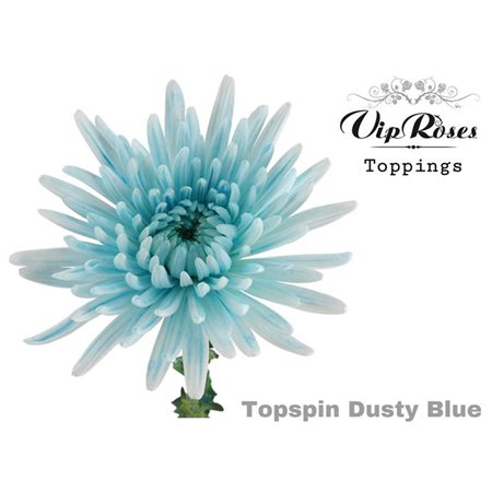 Marjetka deco Topspin Blue c688