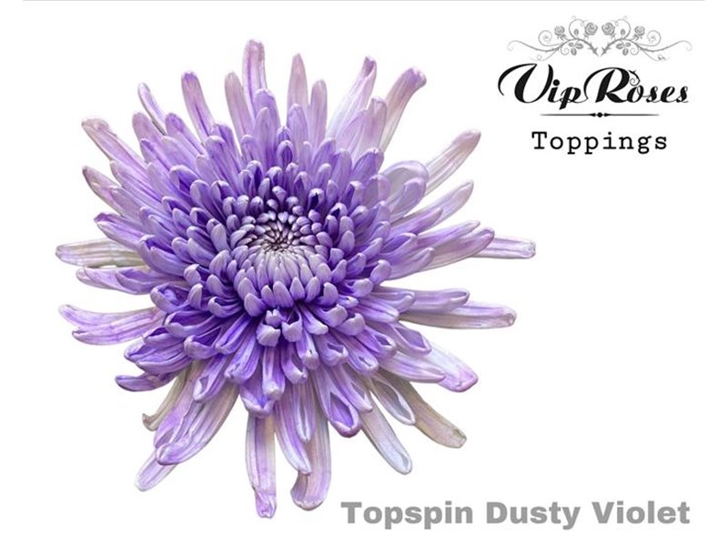 Marjetka deco Topspin Dusty Pink c692