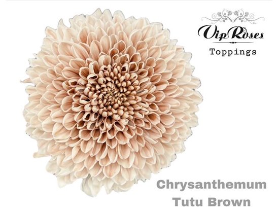 Marjetka deco Tutu Brown c702