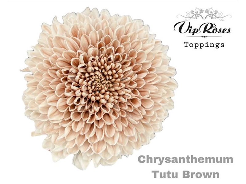 Marjetka deco Tutu Brown c702