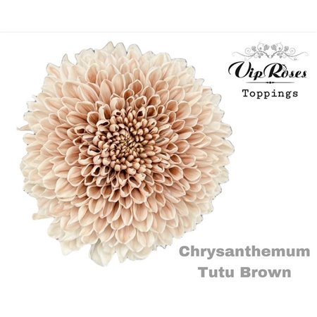 Marjetka deco Tutu Brown c702