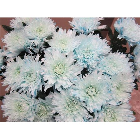 Marjetka deco Undercover Sweet Blue c708