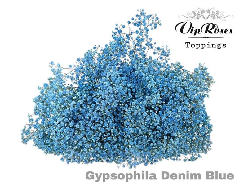 Gipsofila Pa Denim Blue c1597