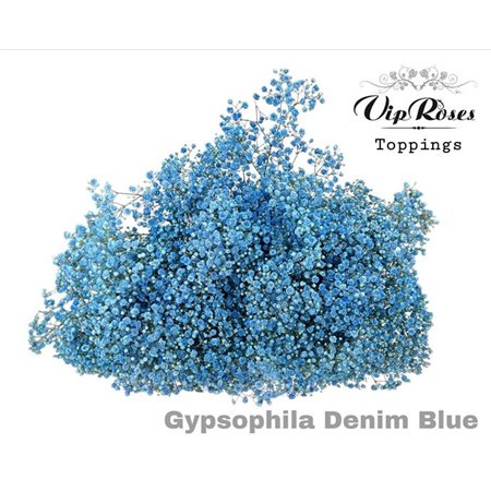 Gipsofila Pa Denim Blue c1597