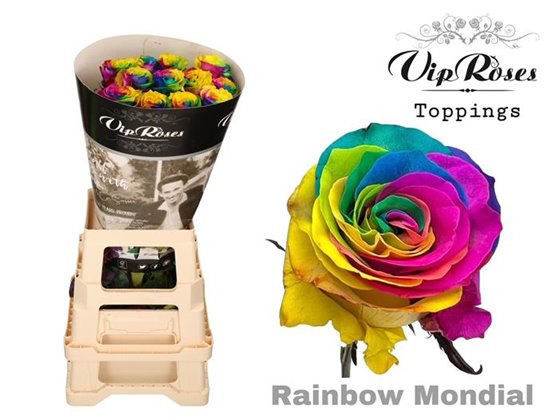 Vrtnica Rainbow Mondial c3082