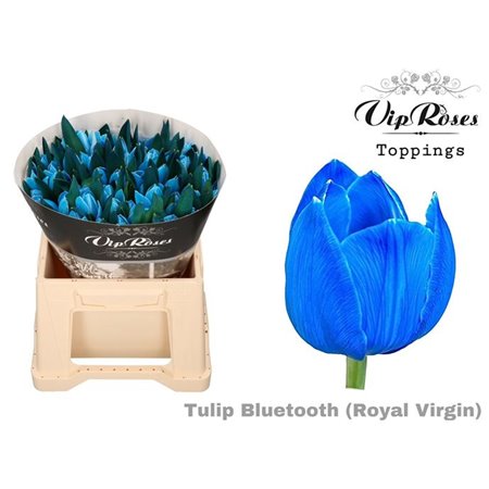 Tulipan Single Rv Bluetooth c3352