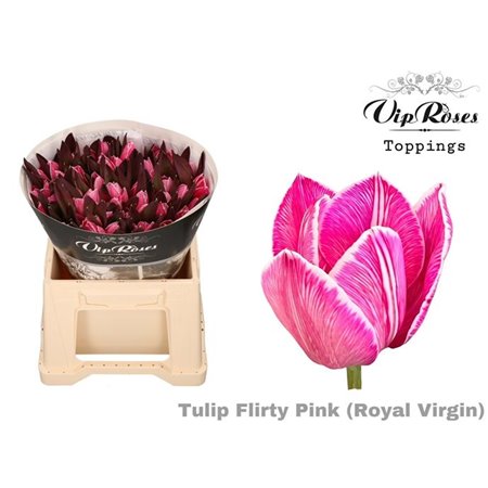 Tulipan Single Rv Flirty Pink c3355