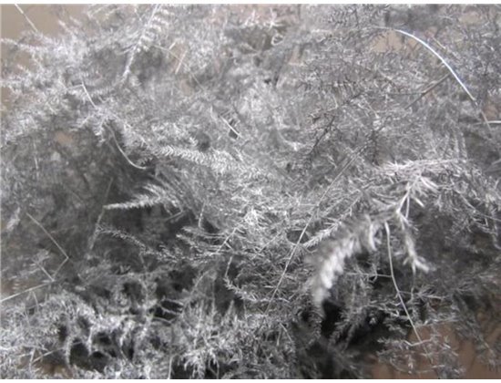 Asparagus Extra feather Silver c258