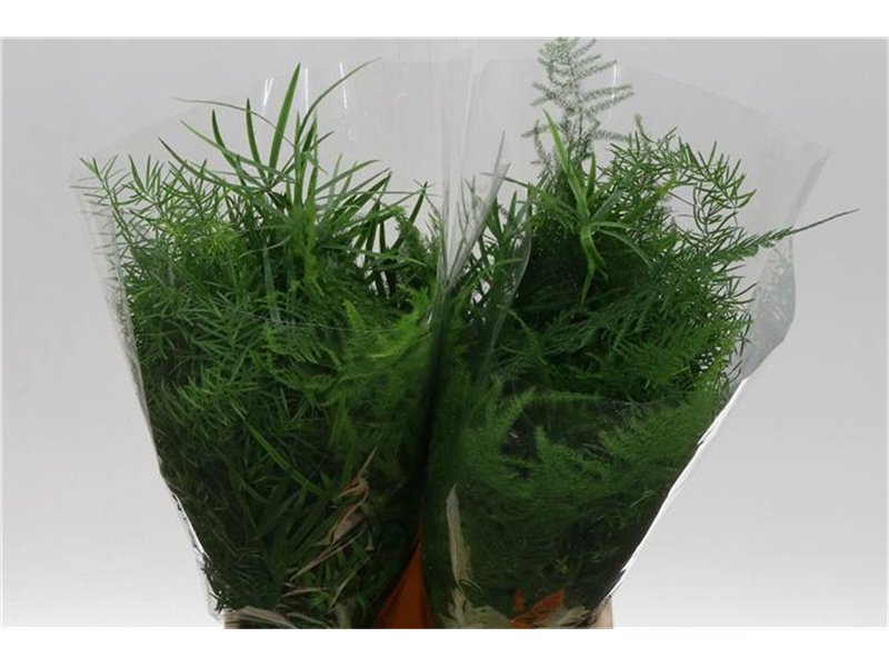 Asparagus Mix Bunch c278