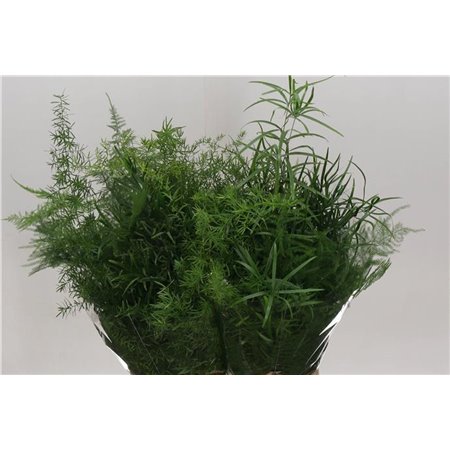 Asparagus Mix Bunch c279