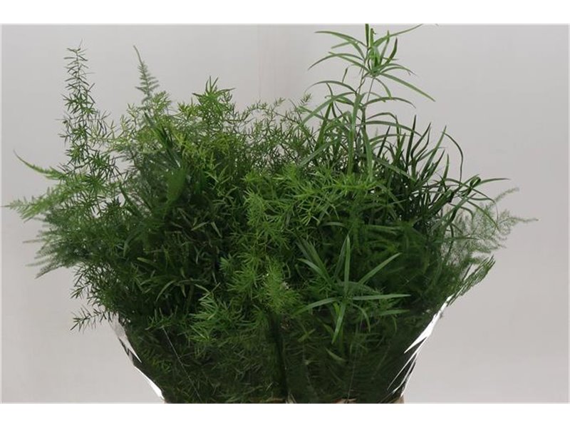 Asparagus Mix Bunch c280