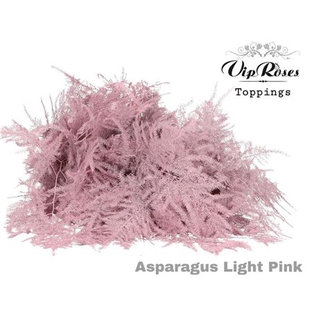 Asparagus Various Extra feathers Light Pink c313