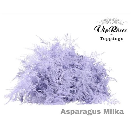 Asparagus Various Extra feathers Milka c314