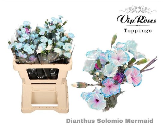 Nagelj Solomio Mermaid (l50cm) c523