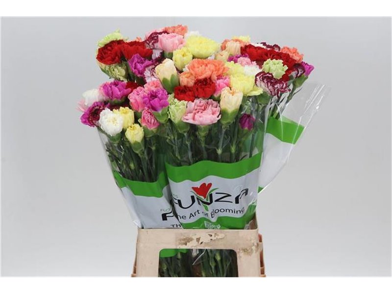 Nagelj Funza Long Rainbow Mixed c539