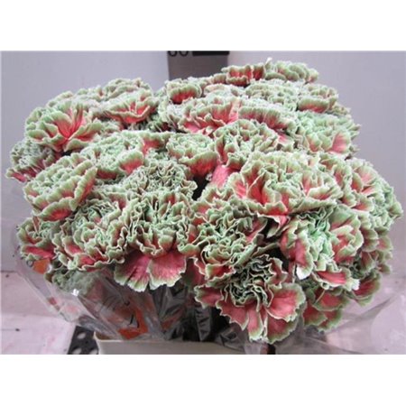 Nagelj G Bubbelicious c563