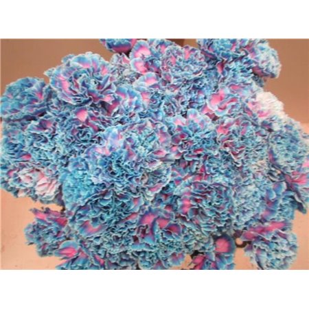 Nagelj G Bubblegum c565