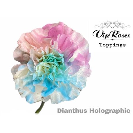 Nagelj Holographic Pastels c587