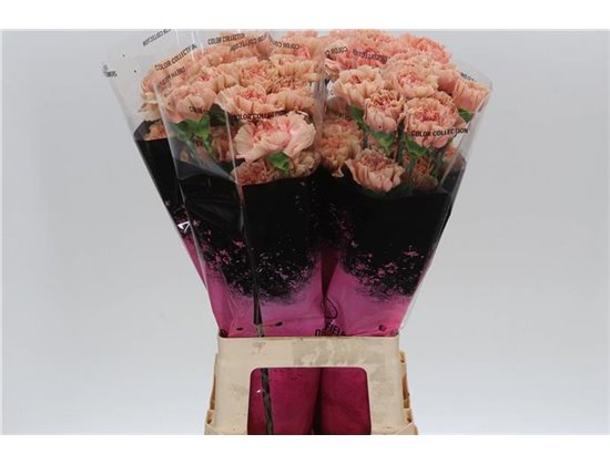 Nagelj Long Hermes Yellow c622