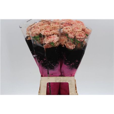 Nagelj Long Hermes Yellow c622