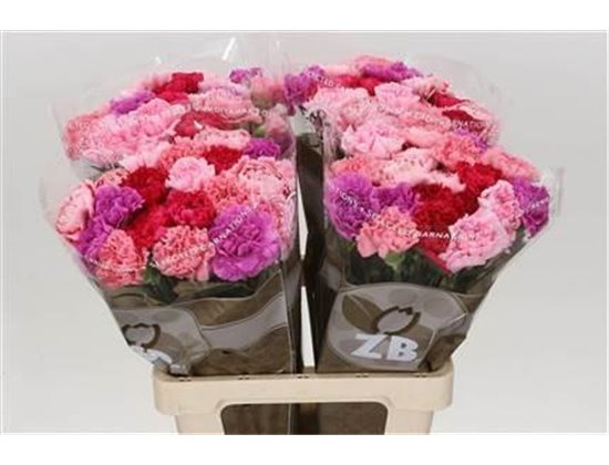 Nagelj Long Mixed Pink c628