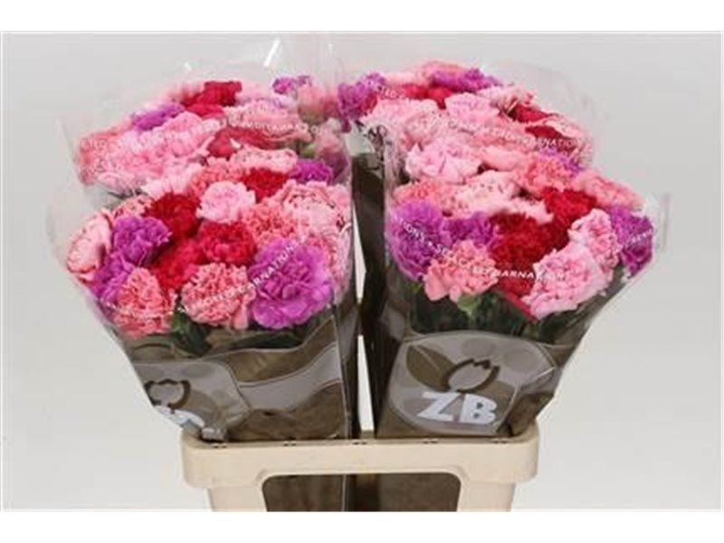 Nagelj Long Mixed Pink c628