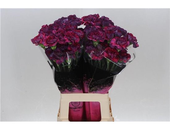 Nagelj Long Tatis c638