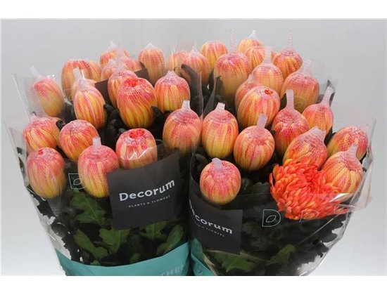 Marjetka deco Antonov Dyed Moonshine c760