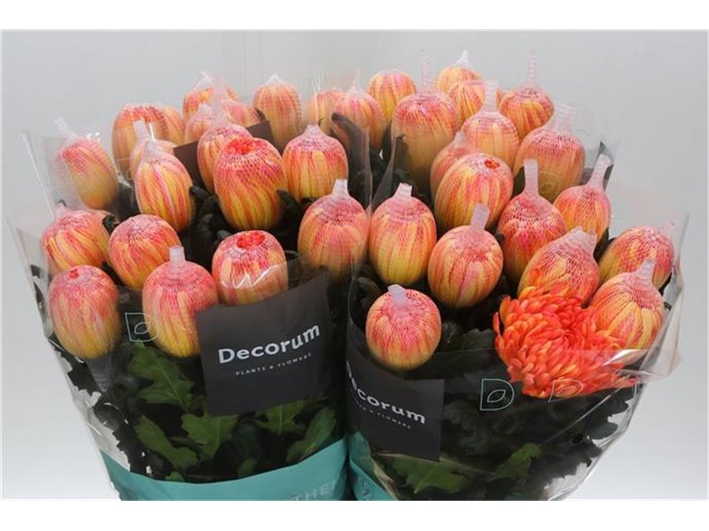 Marjetka deco Antonov Dyed Moonshine c760