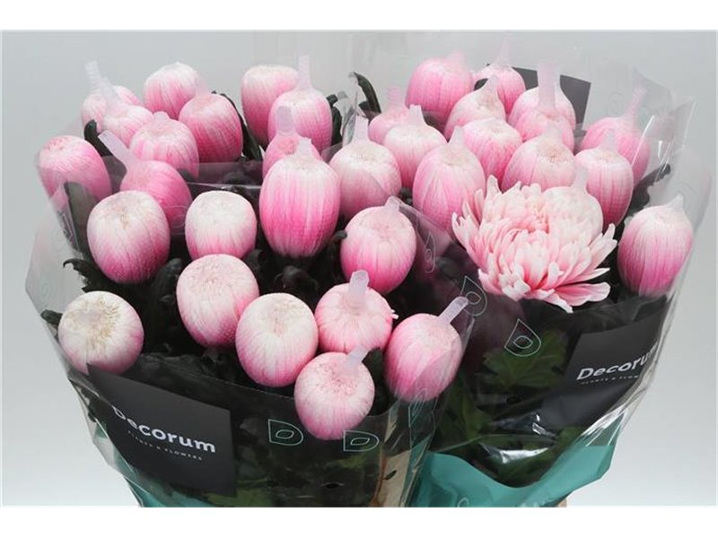 Marjetka deco Antonov Dyed Pastel Pink c762