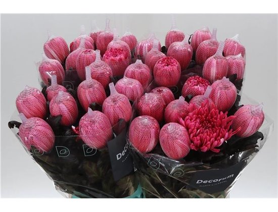 Marjetka deco Antonov Dyed Red c764