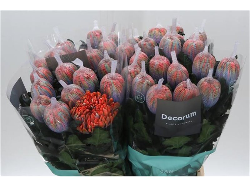 Marjetka deco Antonov Dyed Vulcano c766