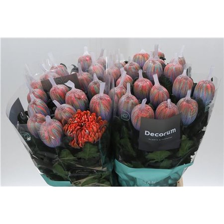 Marjetka deco Antonov Dyed Vulcano c766